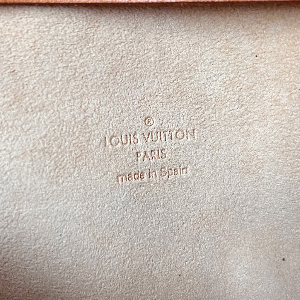 Louis Vuitton Signature Monogram Pochette Twin PM Mini Shoulder Bag